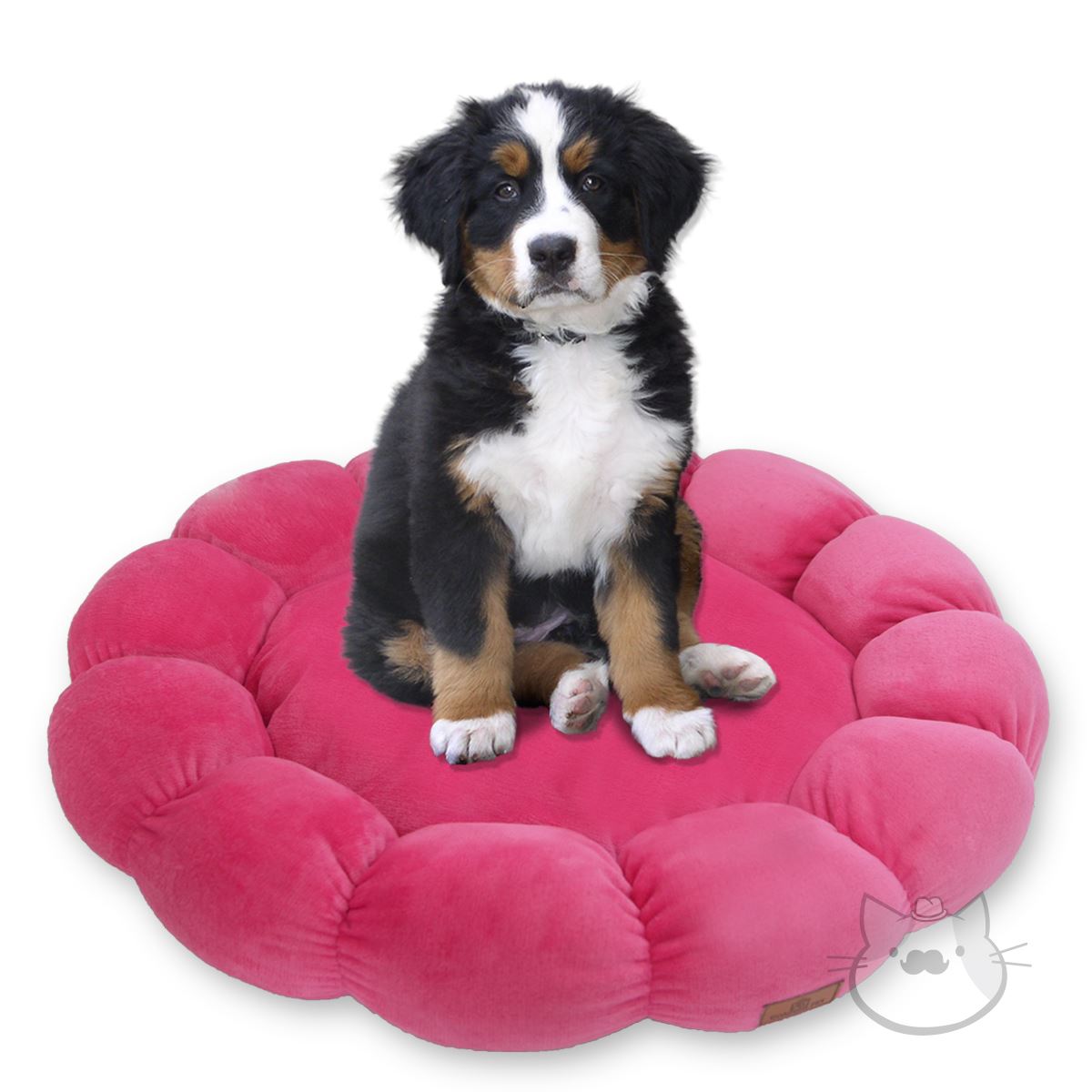 Cama discount mascota grande