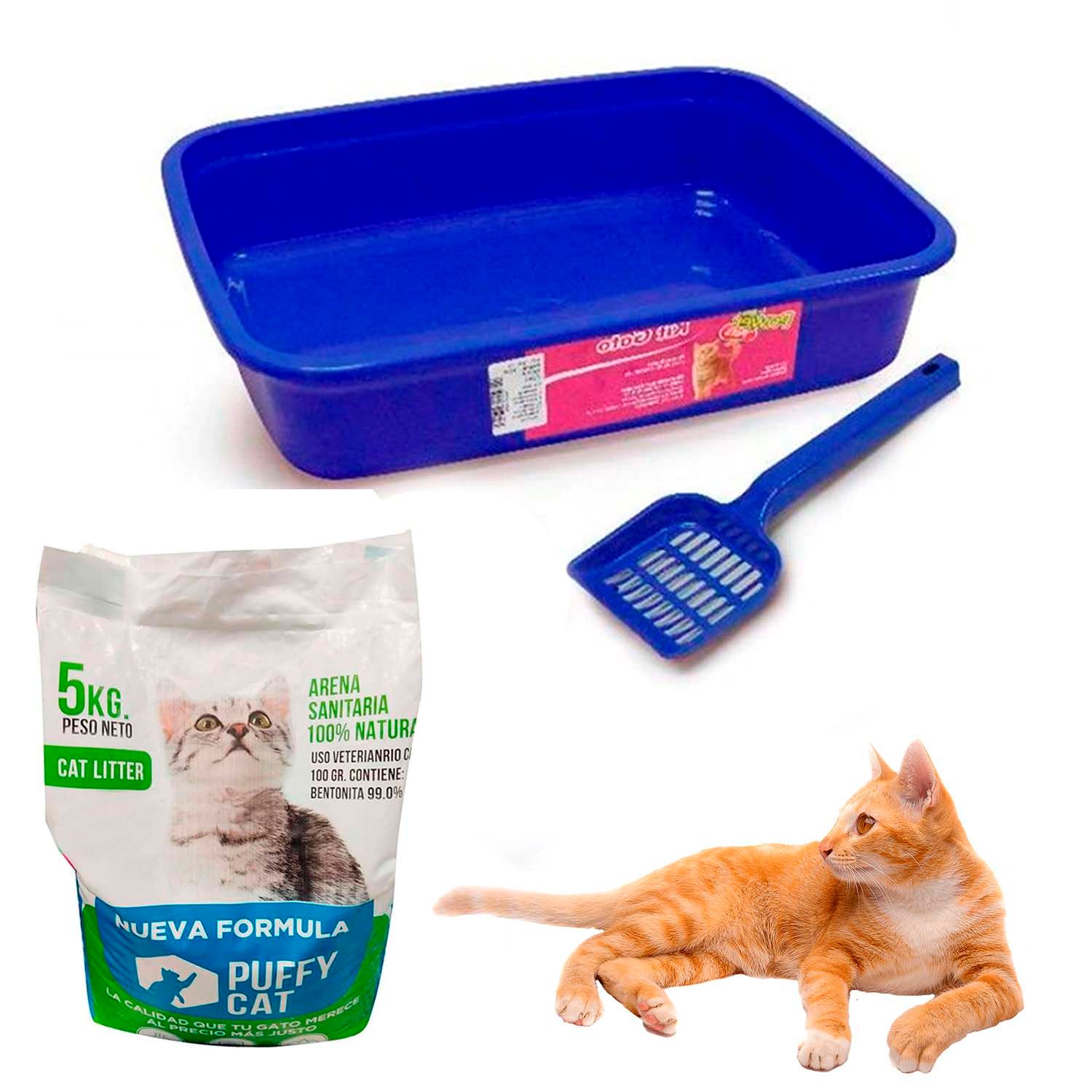 Caja de arena para gatos de limpieza de manos femeninas con pala