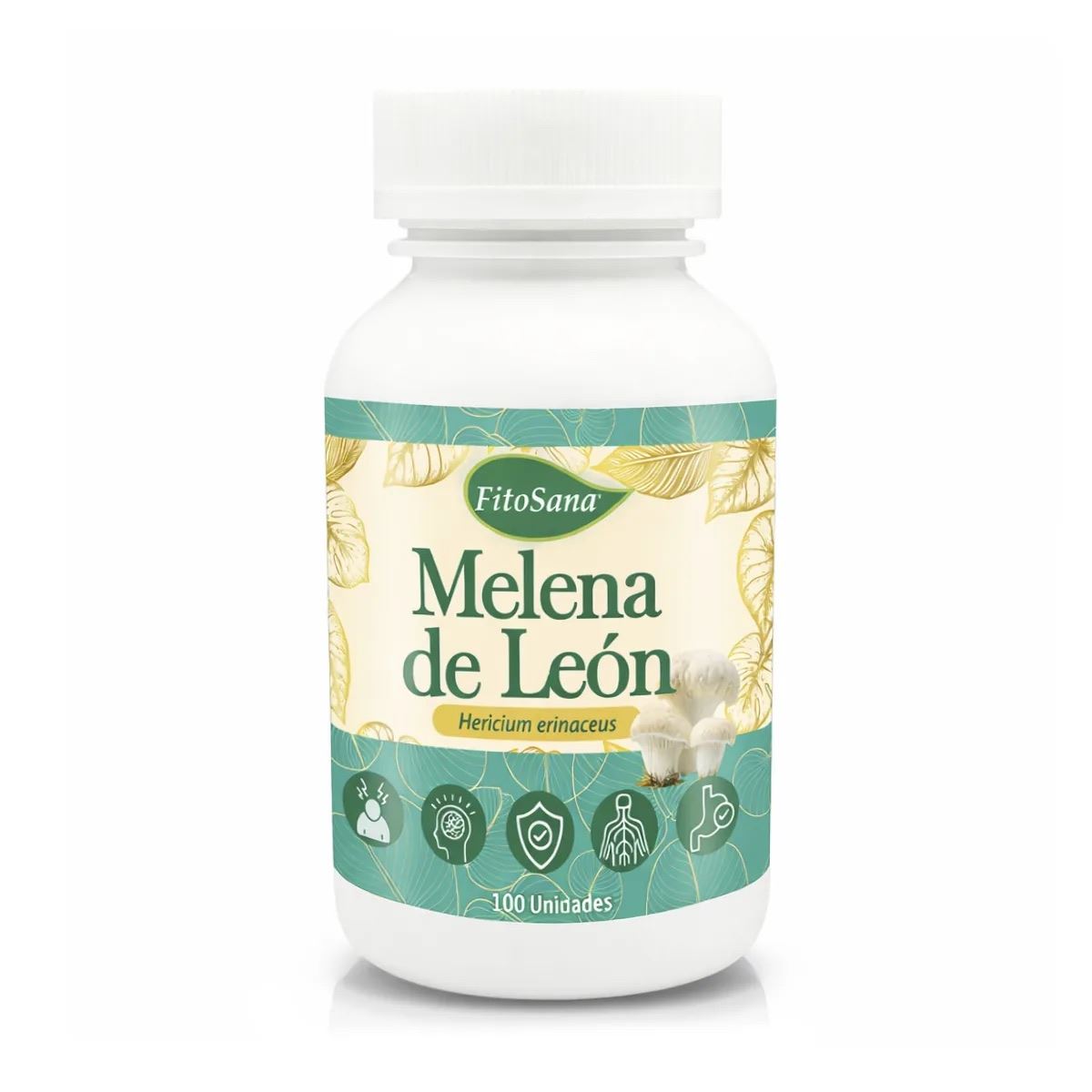 Melena de León (100 Cápsulas) - Fitosana