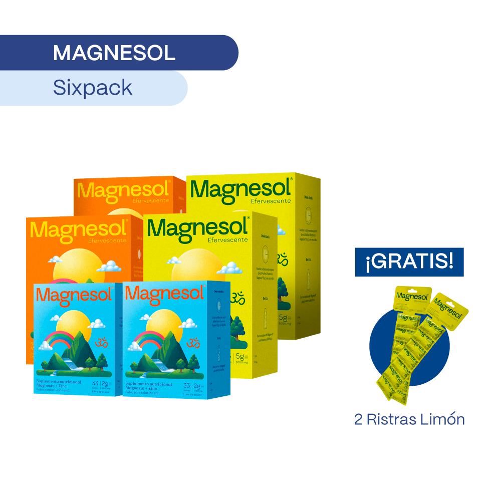PACK 06 MAGNESOL SURTIDO x 33 sobres