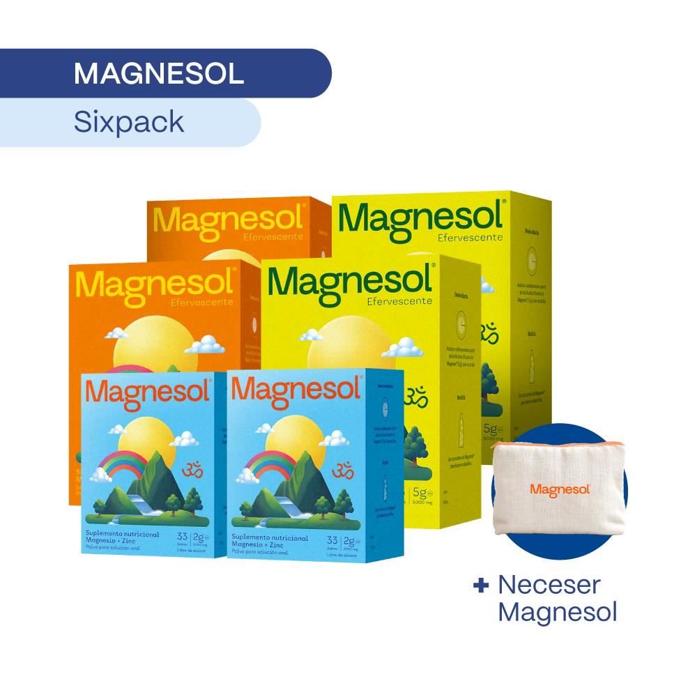 SIXPACK: MAGNESOL SURTIDO x 33 sobres