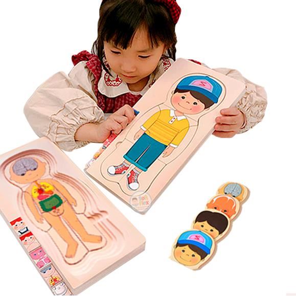 ROMPECABEZAS 5D CUERPO HUMANO NIÑO