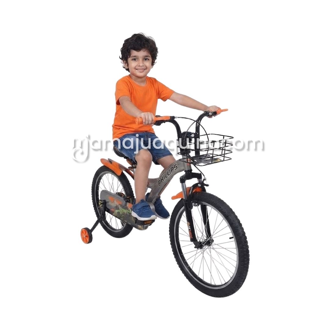 Bicicleta Para Niño Aro 20 «PHILLIPS KING» con Canasta Orange