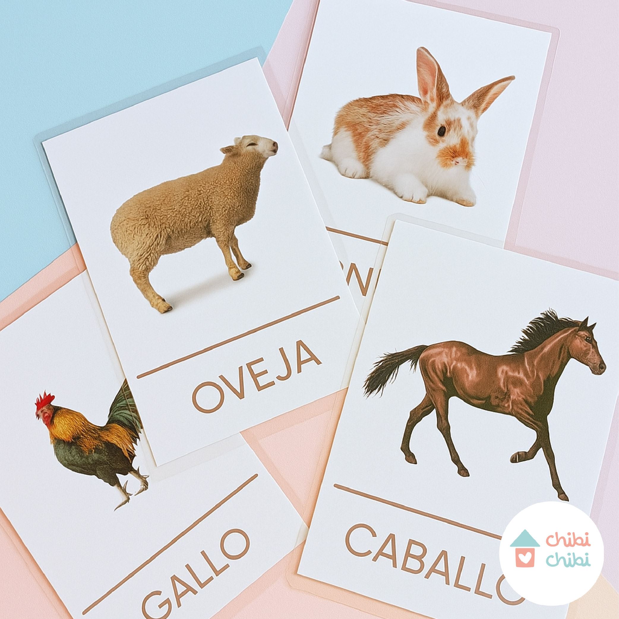 FLASHCARDS – 12 FICHAS