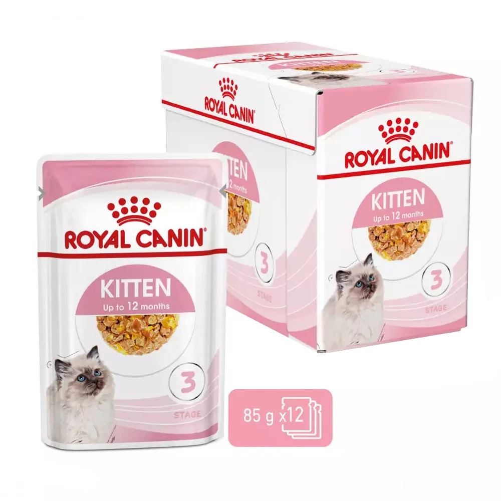 Gelatina Royal Canin FHN para Gatitos 12x85gr