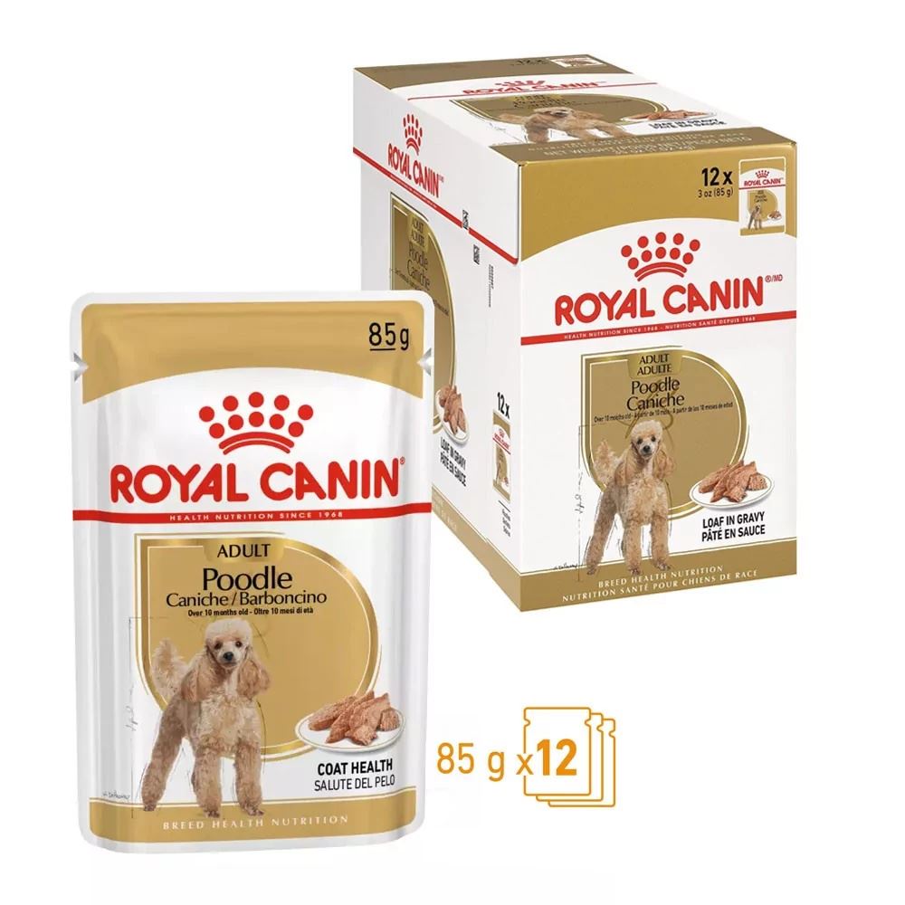 Paté Royal Canin BHN para Perros Poodle Adulto 12x85gr