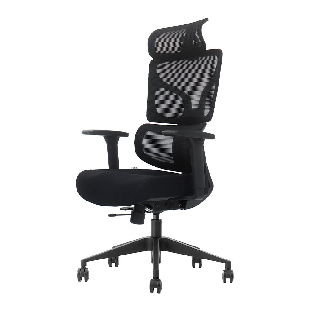 Silla de Oficina Ergonómica Profesional Evox GT5-BH, Pintón Clase 4, Negro