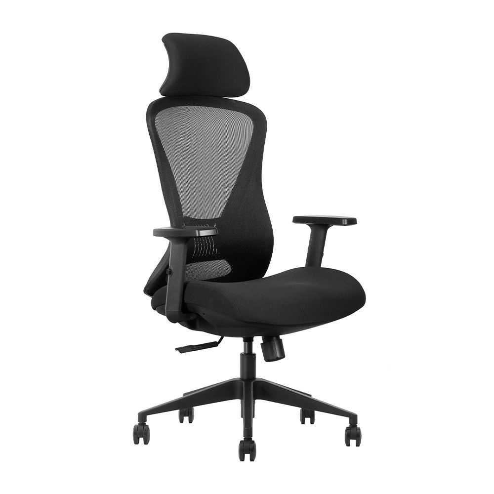 Silla de Oficina Profesional Ergonómica Evox GK2-BH, Pistón Clase 4, Negro
