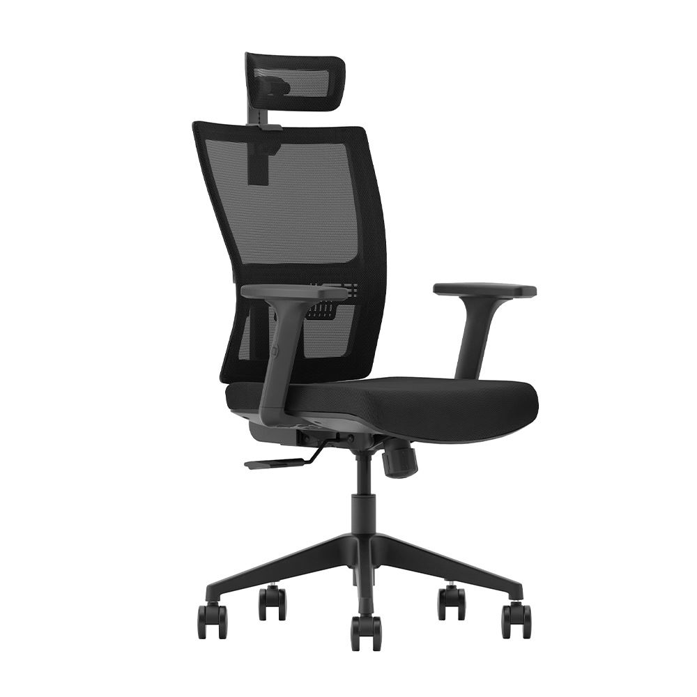 Silla de Oficina Ergonómica Profesional Evox GM1-BH. Pistón Clase 4, Negro