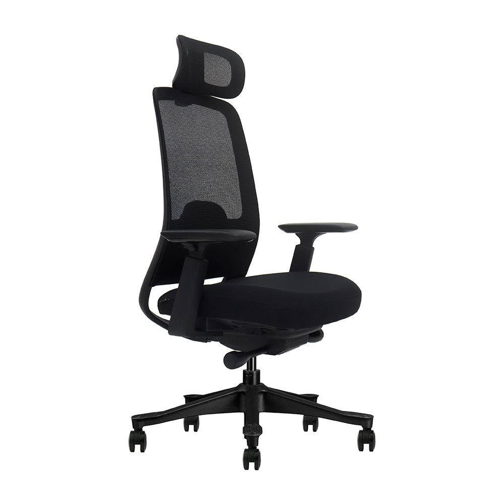 Silla de Oficina Ergonómica Profesional Evox V3-BH, Pistón Clase 4, Negro