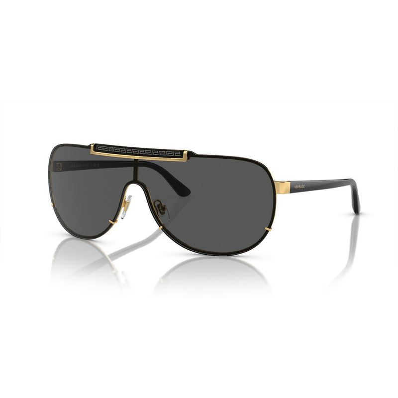 Versace Dark Grey Shield Men's Sunglasses VE2140 100287 140