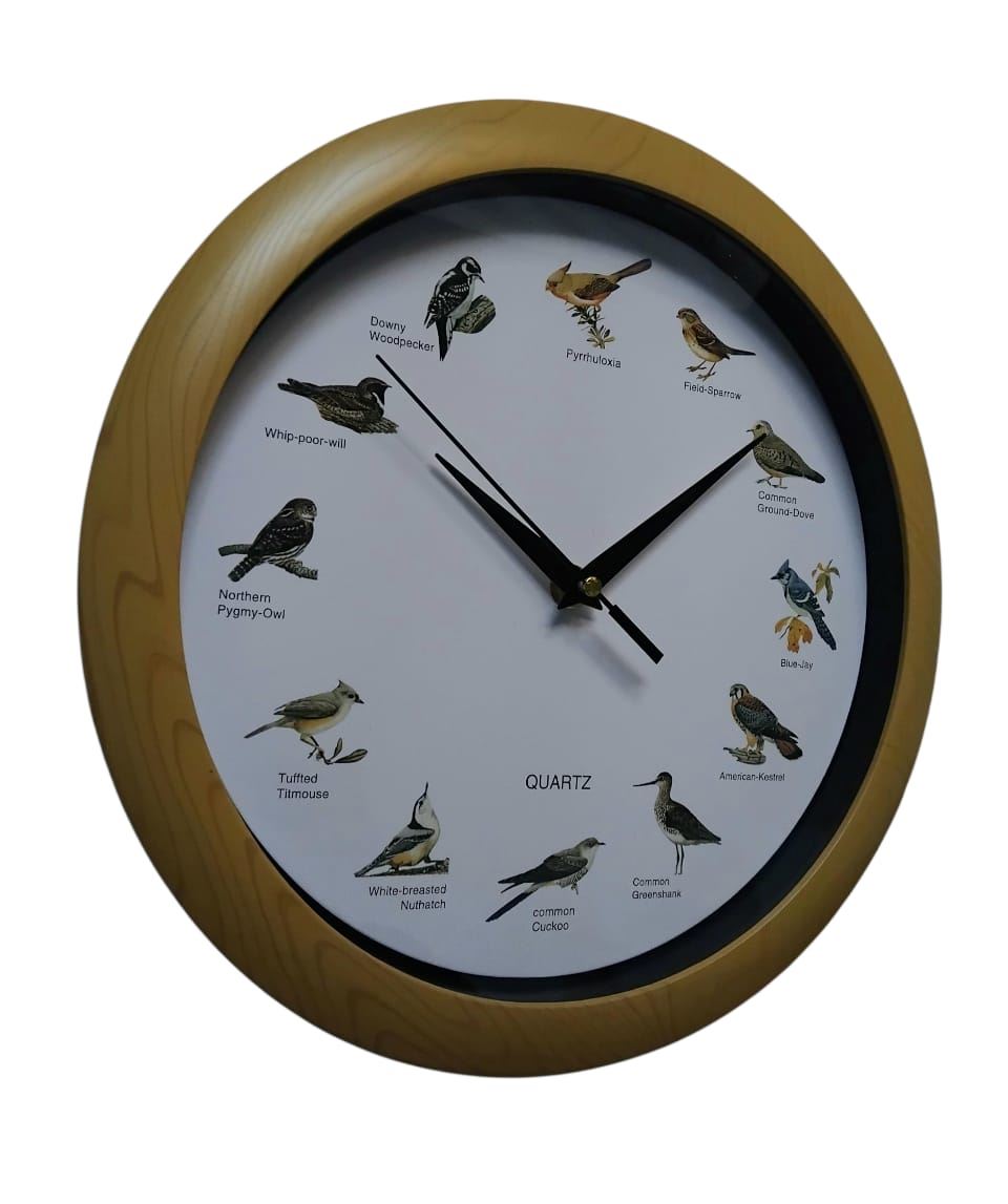 Reloj de pared temático canto horario de aves