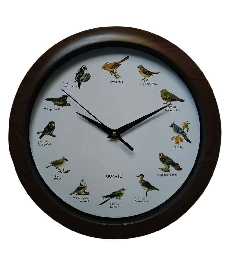 Reloj de pared temático canto horario de aves