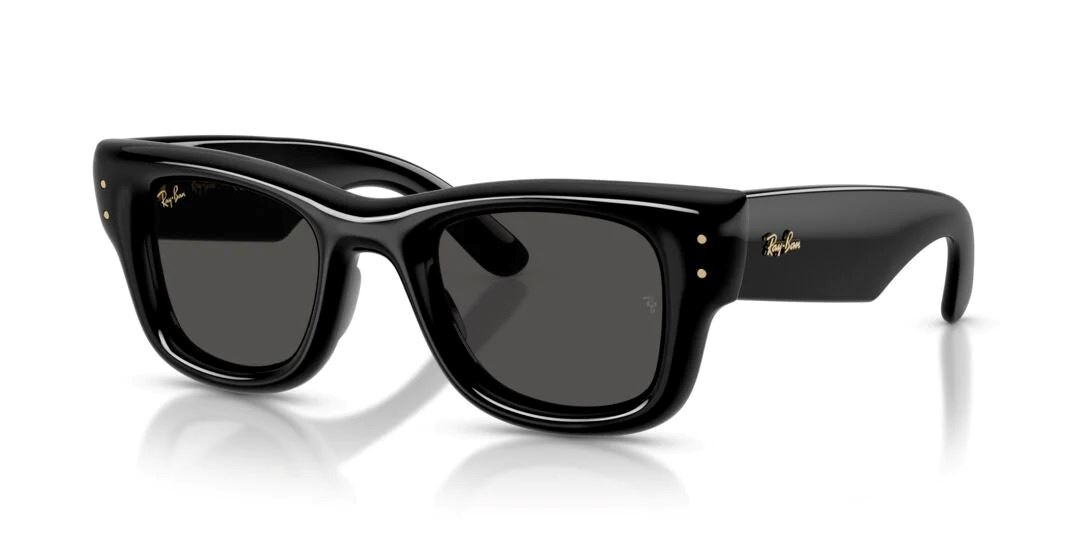 LENTES DE SOL RAYBAN WAYFARER PUFFER RB4940 / COLOR NEGRO